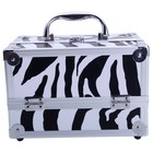 Aluminum Makeup Train Case Jewelry Box Cosmetic Organizer