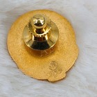 Polytech Adult Education Medical Nursing Lpn 21 Year Service Award Gf Pin