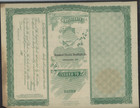 Standard Electric Headlight Co  Indianapolis  Indiana Stock Certificate