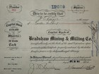 1910 Bradshaw Mining   Milling Co  Stock Certificate  351  Utah