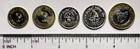 Bahrain  5 Coins Set 5  10  25  50    100 Fils 2009 Unc World Coins