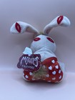 Meanies Got Lucky 1999 Valentines  Rabbit Beanie 