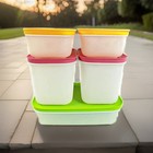 Tupperware Freezer Mates 5 Pcs Set Airtight Freezer Storage Containers Bpa Free