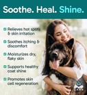 K9 Soothe Anti Itch Spray Dogs W  Aloe Rose   Coconut Natural Hot Spot Treatment