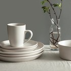 Albie Stoneware 16 Piece Dinnerware Set  Plates And Bowls Sets  Dish Set For    