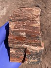 Petrified Redwood Bark With Agate From Arizona  Free Gifts        
