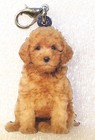 Poodle Doodle Puppy Acrylic Double-sided Purse Charm Dangle Zipper Pull Jewelry
