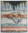Pendleton Beaver State Salmon Falls Jacquard Robe Wool Blanket 64x80 Made Usa