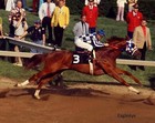 Secretariat 8x10 Photos   Kentucky Derby Horse Racing  Turcotte   Lot Of  2 