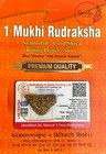 Sovedic Original One Mukhi Rudraksha Lab Tested Certified Rudraksha