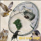 Safe Bird Trap For Catching Falcons And Owls With A Small Cage Inside                    