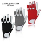 Thorn Proof Gardening Gloves Men s   Ladies cut   Thorn Resistant Pruning  Rose