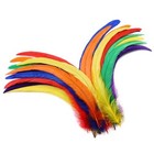  Rooster Tail Feathers - 60pcs 12-14inch Natural 60pcs 12-14inch Bulk Colorful