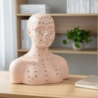 Mannequin Bust With Acupoints Soft-rubber Acupoint Mannequin Head Pvc