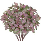  5 Bundles Artificial Greenery Plants Stems Faux Fittonia Leaves Plant Style 2