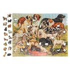 Wooden Jigsaw Puzzle For Adults By Foxsmartbox - 306 Pieces - Furry Friends