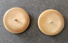 Vintage Two Shank Buttons
