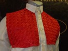 Modern Barong Tagalog Pina Organza With Overlay Red Soliya Lace