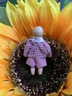Antique Mini Dollhouse Bisque Girl Doll Carl Horn Hertwig Limbach 1 75    Boy 3