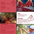 Country Spoon 100  Tart Cherry Juice  70  Tart Cherries Per 8 Oz  14 Pack   Not