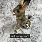 Hansa Plush Toy Doll 7497 Jerboa 19 Multicolored W6    H19    D20cm Japan New F 