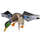 Avian X Powerflight Mallard Weatherproof Realistic Spin Wing Duck Decoy  2 Pack