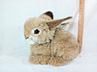 Steiff Rabbit  dormy   8  Tall  Lovely Tawny Color Mix  Ds07