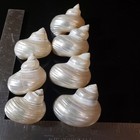 Lot Of 7 Mother Of Pearl Turbo Shells Hermit Crab 1-3 4  To 2-1 8 