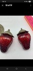 Vintage Strawberry Shaped Glass Salt And Pepper Shakers