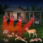 Predator Eye Deterrents  4-pack   Solar Lights For Coyotes  Chicken Coops