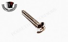 Set Of 10 Accordion Screws Size 2 X 13 Mm Parts