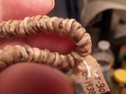Rare Strand Of Old Native American N  California  Shell Trade Beads