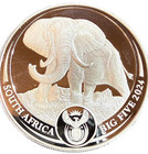 2024 The Big Five Elephant 1oz Silver South Africa Ngc Ms70 First Releases
