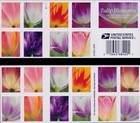 2023 Usps Sheet Of 20 First Class Letter Stamps Tulip Blossoms 82  