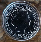 2013 Silver 1 Oz Britannia - 2 British Pounds - Snake Edge Privy