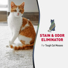 Nature s Miracle Advanced Cat Stain And Odor Eliminator Spray  Severe Mess Enzym