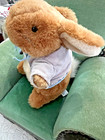Eden Peter Rabbit Plush Stuffed Animal Toy Vintage Beatrix Potter Easter 9 
