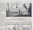 1903 Germantown Pa Jc Strawbridge Greenhouse Lord Burnham Gorham Silver Print Ad