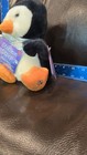 Russ Shining Stars Penguin Plush Stuffed Animal 2006 Small 6-14in Mpn 34440