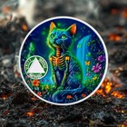Glow Cat   Tree 3 Year Sobriety Coin Aa Chips Medallions Three Years Sober Gifts