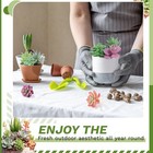 12 Pack Realistic Flocked Artificial Succulents  Faux Plastic Succulents Mini 