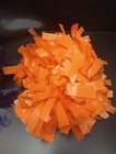 Cheerleader Varsity Orange Blue Handle Pom Poms Epic Sports