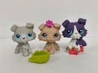 6pcs lot Littlest Pet Shop Toy Lps Collie Dog  363 1194 1676 1542 W accessories