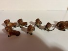 Dachshund And Six Puppies Chained Together  the Chain Gang  1950 s G Nov Co