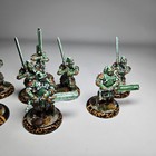 Immortals  x10  Skorne  hordes  Painted