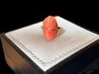 Antique 10k Yellow Gold Coral Carved Cameo Ring Size 6 75