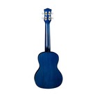 Luna Guitars Ukulele Starry Night Concert W gigbag