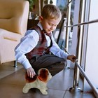 Animated Plush Dog Toy Walks Talks Back Flips Battery Operated 2 Aa Pet Puppy