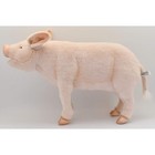 Bh6347 Hansa Pig 63 Plush Toy