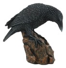 Raven Crow On Tree Stump Statue Cold Cast Resin Figurine 6  Height